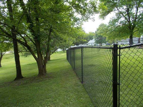 Chain Link Fence